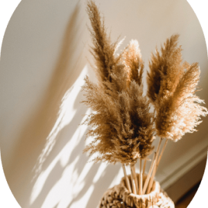 Parlor Palm